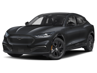 mustang mach-e Schaumburg Ford in Schaumburg IL