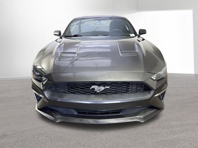 2019 Ford Mustang EcoBoost