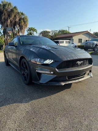 2019 Ford Mustang EcoBoost
