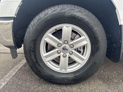 2023 Ford F-150 XLT FX4