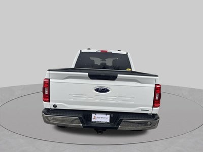 2023 Ford F-150 XLT FX4